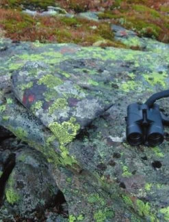 Jerven Fjellduken Hunter 21 Jerven Fjellduken Hunter -Survie en plein air jervenbag hunter montain