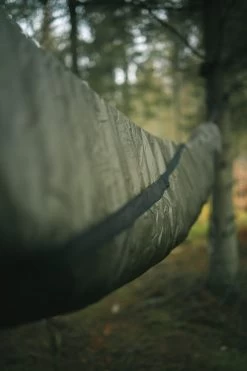 Lesovik Larva -Survie en plein air lesovik larva 12