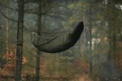 Lesovik Larva -Survie en plein air lesovik larva 15