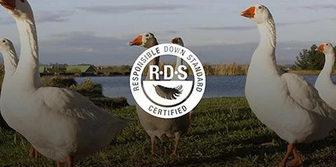 Sea To Summit Altitude ATII 21 Sea To Summit Altitude ATII – Image 19